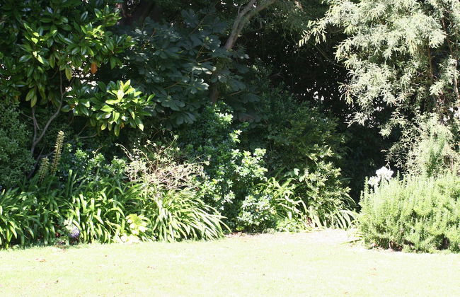 Walnut Grove Lodge - Foto 71