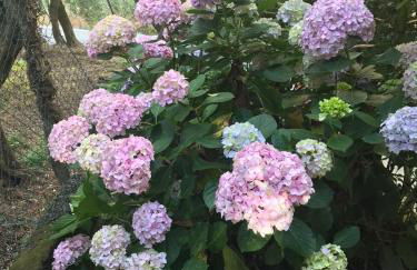 Casa Perla - Foto 55