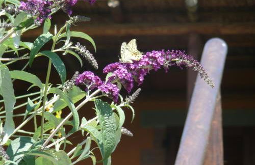 Agriturismo Annibale - Foto 30