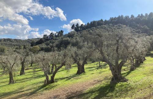 Casa Maremonti - Gargano - Foto 22