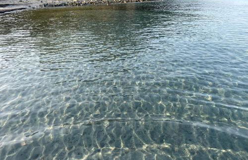 La Babbaiola di Torre delle Stelle - Foto 31