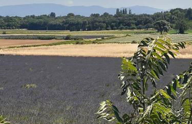 Coeurs en Provence - Foto 1