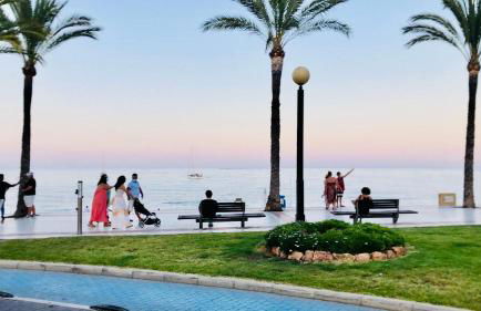 Soleado Albir - Photo 65