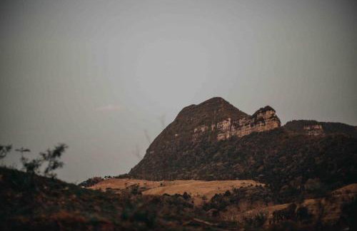 Casa de Vidro - Foto 76