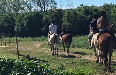 Villa Antunovic - Foto 37