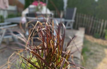 2 bedroom Apartment in wine region - Foto 21