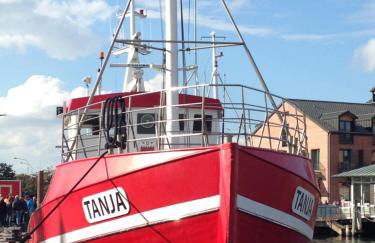 Böltser Hus Ferienwohnungen mit Strandkorb und Kamin 10 Gehminuten zum kurtaxefreien Sandstrand - Foto 43