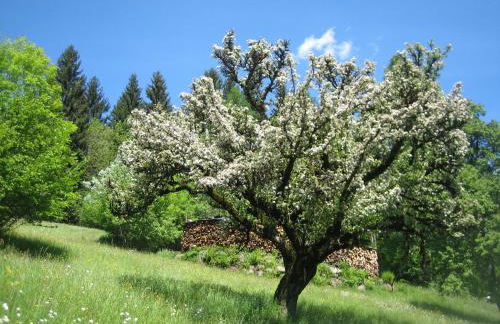 Casa Caterina - Foto 41