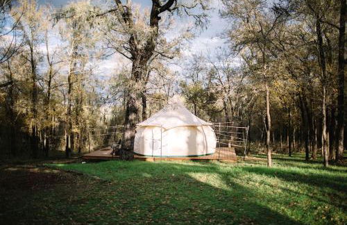 Beautifully Furnished Bell Tent Rental for a Vacation in Elgin, Texas - Foto 13