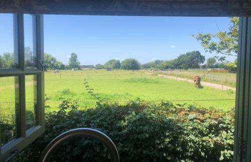 Little Plovers Shepherd Hut - Foto 15