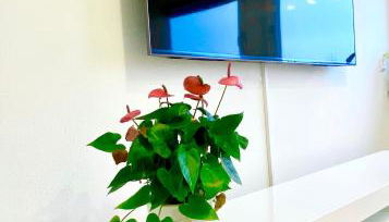 Traumhaftes Apartment mit Dachterrasse und Schlossblick - Photo 5