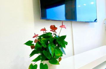 Traumhaftes Apartment mit Dachterrasse und Schlossblick - Foto 5