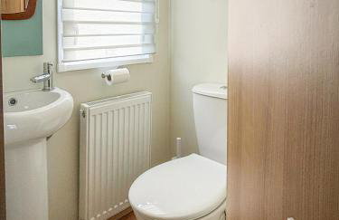 Little Curlew, Ynyslas, Borth - Foto 18