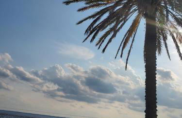 I love San Marco Studios! - Photo 23