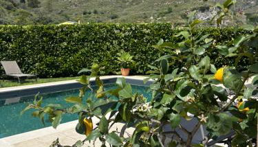 Villa Almond - Foto 3
