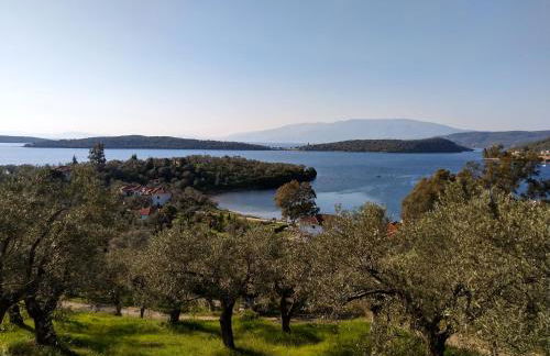 '' I FOLIA '' / ' 'LE NID '' - Foto 9