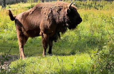 Dom Podróżnika -aktywne wakacje - Foto 41