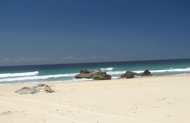 Tuckers Rocks Cottage - Photo 13