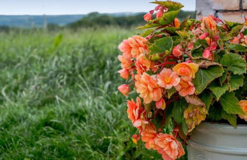 1 Bed in Hatherleigh 78799 - Foto 21