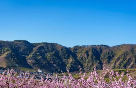 Ferienwohnung Auf Sarret - Foto 40