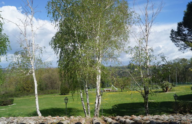 Villa Panconesi - Photo 45