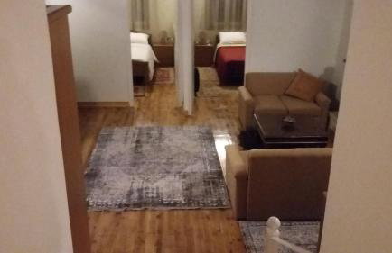 Dual House In Methydrio - Photo 33