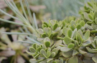 Apart-hotel Acapulco Ocean View - Foto 115