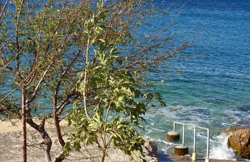 House Petra on the beach-sea - Foto 5