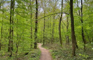 Le Cocon Nocturne 10min Arkema Total - Photo 8