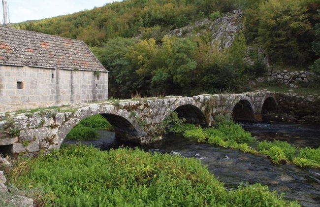 Marija - Rooms With Pool - R3 - Photo 18