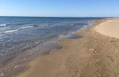Les vagues du Sud - Foto 49