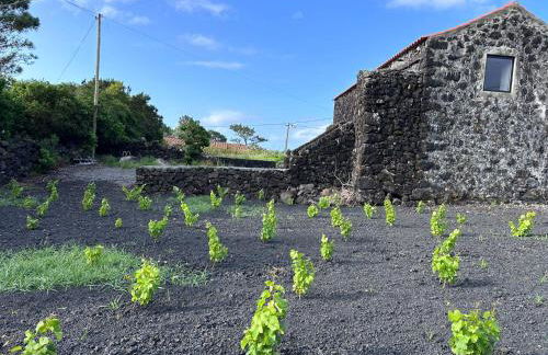 Casa 3 Picos 2 - Photo 19