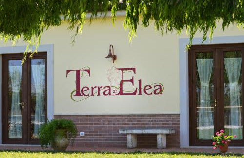 Agriturismo Terra Di Elea azienda agricola di Raimondo MIchela - Foto 6