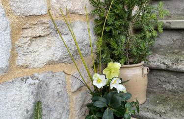 Au charmant chablis - Foto 9