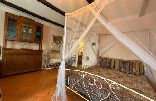 Casa Clara Gartenwohnung nahe Lago Maggiore - Foto 5