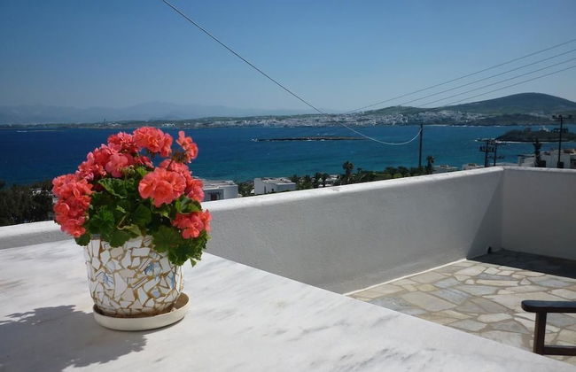 Nikoleta Kolympithres Paros - Photo 28