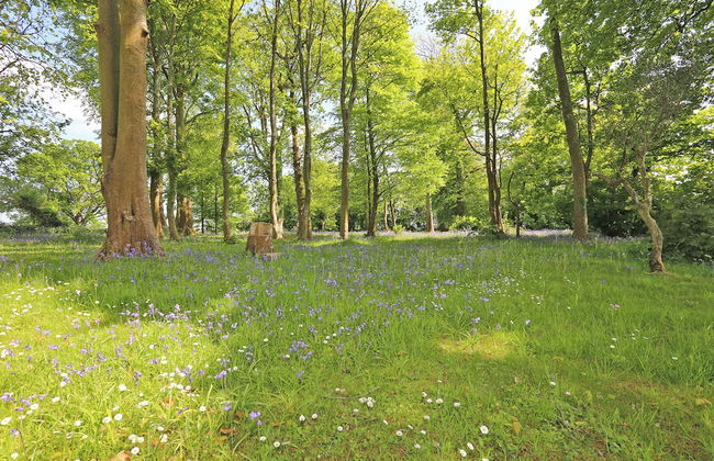 Carrygerry Country House - Foto 58