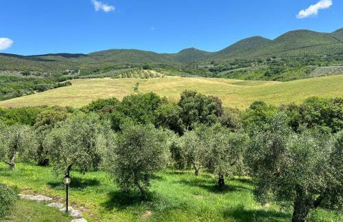 Casa di Dario - Foto 20