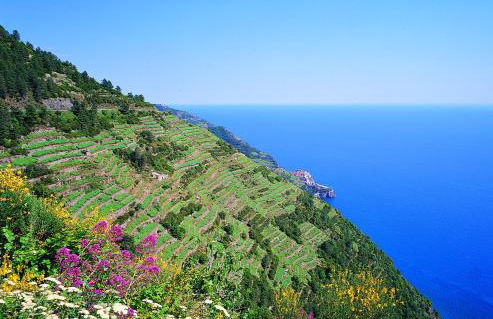 finestra tra cielo e mare - Photo 35