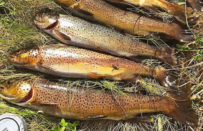 6 Person Holiday Home in Kviby-by Traum - Photo 17