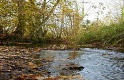 Holiday Home in Grand Est - Foto 6