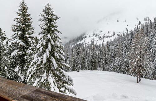 Appartamento Aurone - con Biosauna - Foto 6