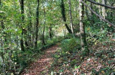 Pretty sunny cottage, Machynlleth - Photo 34