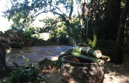 Domocantabria - Foto 38