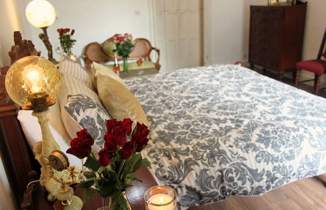 Maltese Maltese - Foto 22