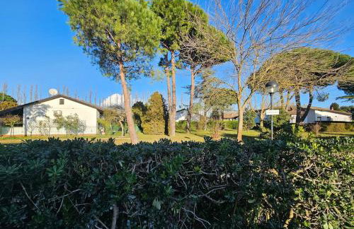 Galactic Sea - Foto 22