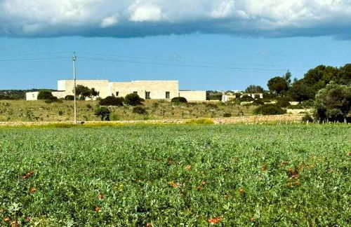 FICOMORO FARM - Foto 10