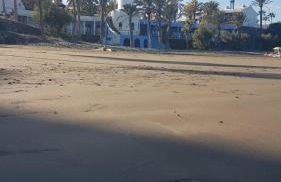 Adam's Place - Foto 31