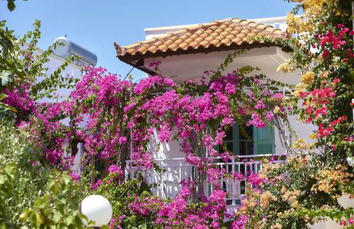 Paul Marie - Photo 29