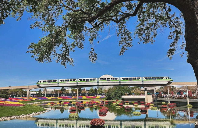 2036 Royal Palm Bay - Foto 68